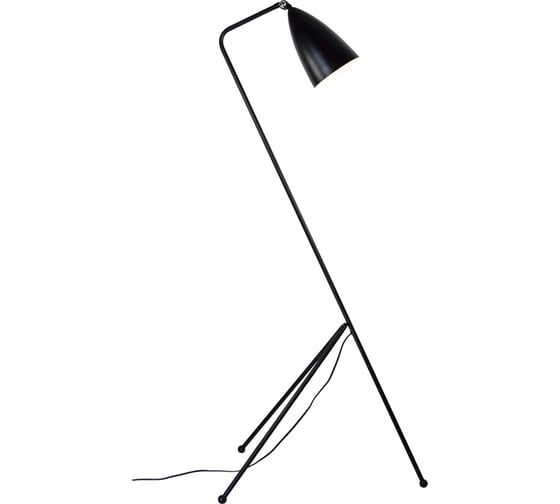 Изображение товара Торшер Moderli Show черный V10999-F