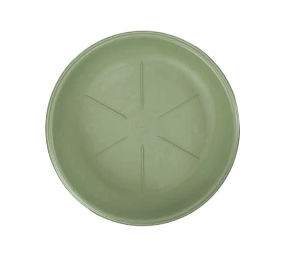 Изображение товара Поддон Bama Spa 26102 d20 см, зеленый 070944