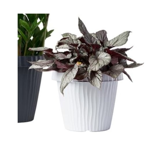 Изображение товара Кашпо Bama Spa 31430 ONDA d35 см, h29 см, 16 л, белый 070951