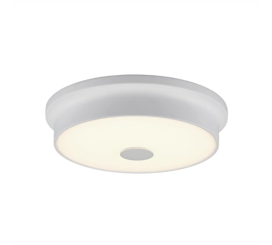 Изображение товара Настенно-потолочный светильник Citilux Фостер-2, белый CL706220