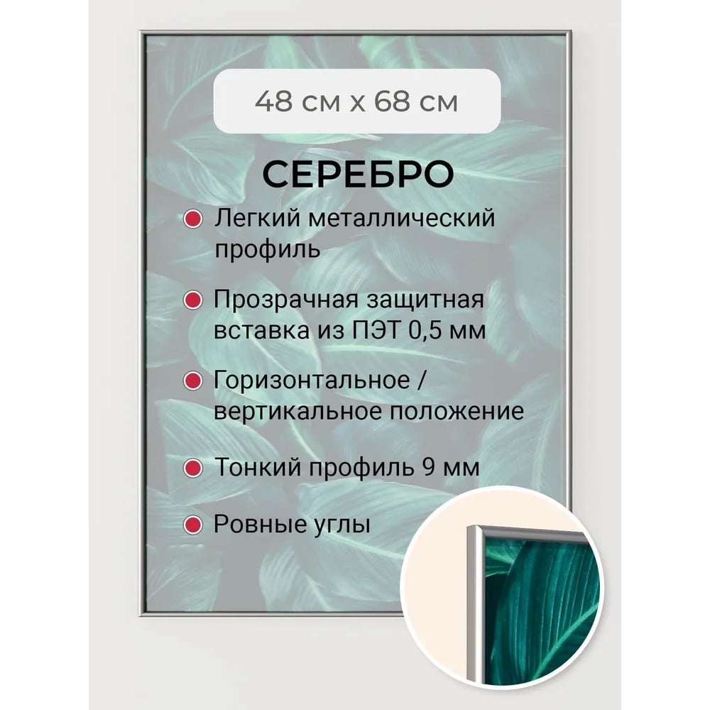 Изображение товара Фоторамка алюминиевая серебристая 48x68 см Niel-2sm-48x68