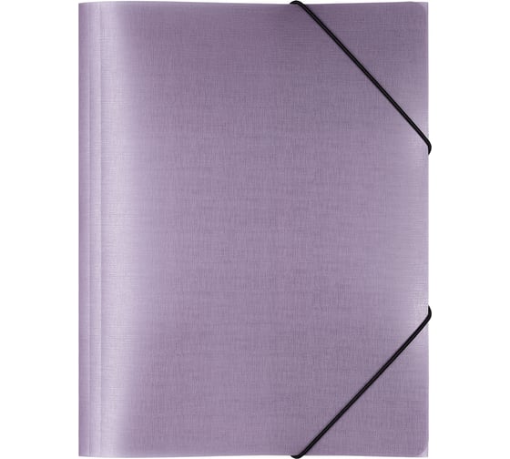 Изображение товара Папка на резинке Expert Complete A4, 600 мкм, 35 мм, 1 шт., Trend ICEberries, ежевика EC210420072 709209