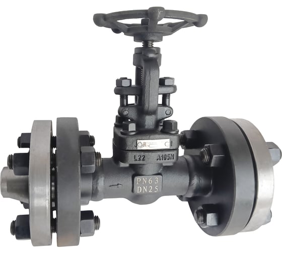 Изображение товара Клапан (вентиль) запорный АТКА 15с52нж10 Ду15 Ру63 с КОФ 1005021101