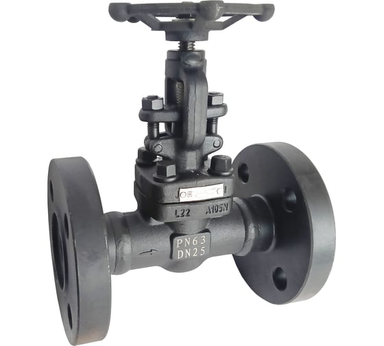 Изображение товара Клапан (вентиль) запорный АТКА 15с52нж9 Ду20 Ру63 с прием.фл 1005021002