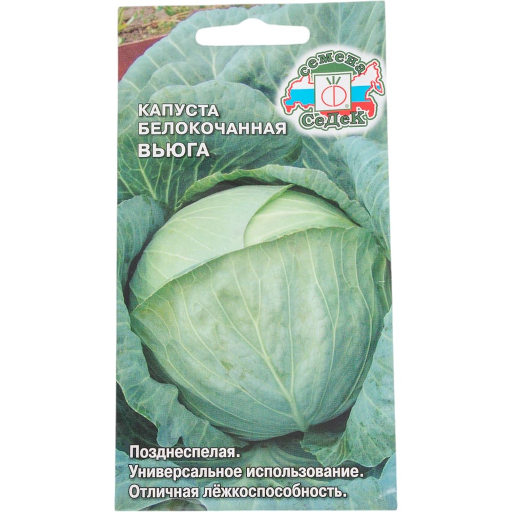  Капуста СеДек Вьюга белокочанная, позднеспелая, округлая, до 3 кг, евро, 0.5 г 14067