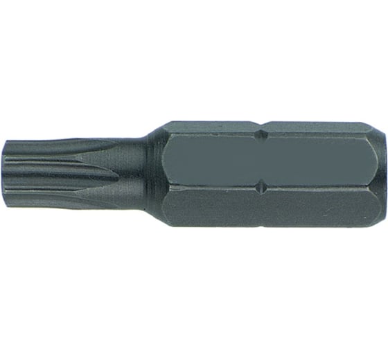 Изображение товара Вставка (бита) торцевая 10 мм HONITON, TORX Т55 BT-A10T55 В0000000188323