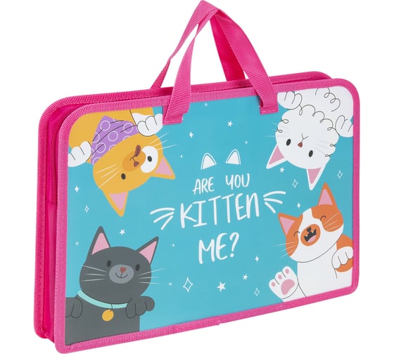 Изображение товара Папка на молнии с ручками А4, 1 отделение, пластик, ширина 45 мм, Cat gang, ЮНЛАНДИЯ 272148