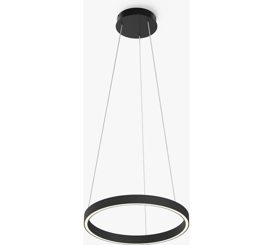 Изображение товара Подвесной светильник MAYTONI Rim Алюминий, Черный MOD058PL-L22BK