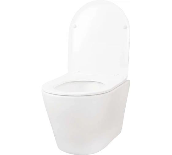 Изображение товара Унитаз подвесной Tokito Торнадо безободковый, с микролифтом TATSUMAKI YOKO 4.0, TOK-TATSUMAKI-4-0TY