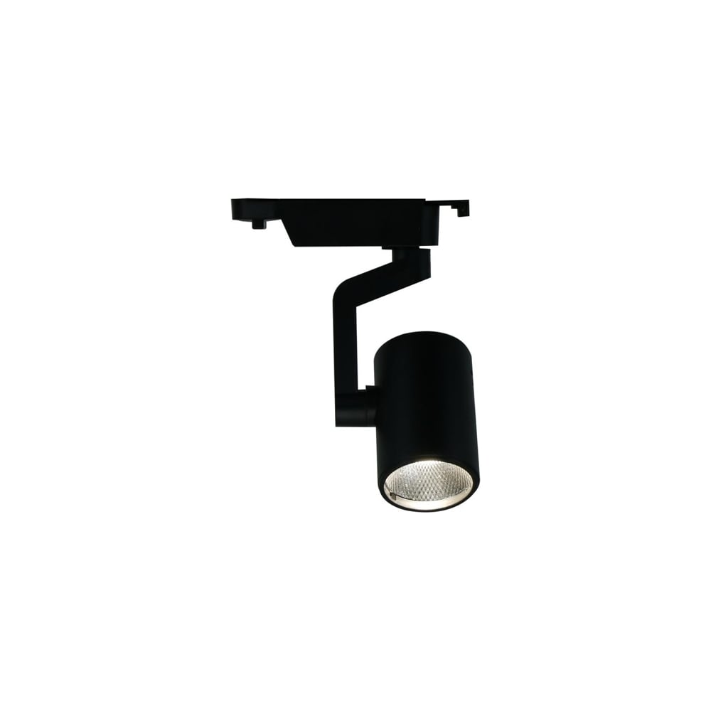 фото Потолочный светильник arte lamp a2310pl-1bk