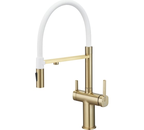 Изображение товара Смеситель для кухни с подключением фильтра питьевой воды Rose R358G