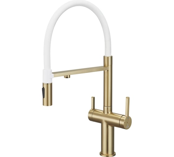 Изображение товара Смеситель для кухни с подключением фильтра питьевой воды Rose R458G