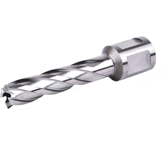 Изображение товара Фреза кольцевая №01 (12х55/88 мм; WELDON19; HSS M2) Профоснастка 40101001