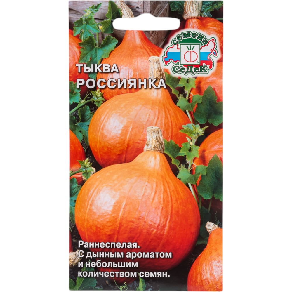 Тыква СеДек Россиянка (ран.спел.,крупноплодн.,чалмовидн.,оранж./ярк.оранж.,1,5-2 кг.). Евро, 2 16418