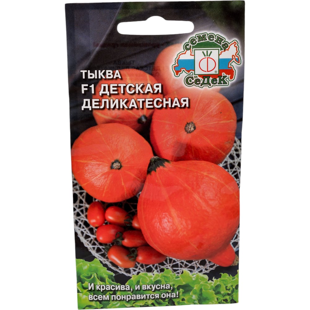 Тыква СеДек Детская деликатесная F1 (ср.спел., круп.-плодн.,окр.,оранж./зел.-оранж., до 3 кг.). Евро, 1 I0000002036