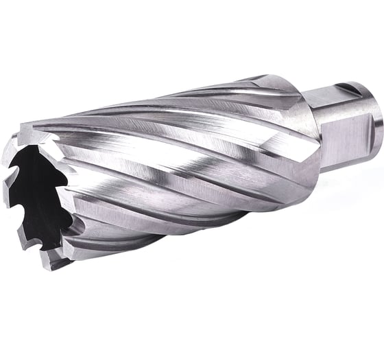 Изображение товара Фреза кольцевая №29 (35х55/88 мм; WELDON19; HSS M2) Профоснастка 40101029