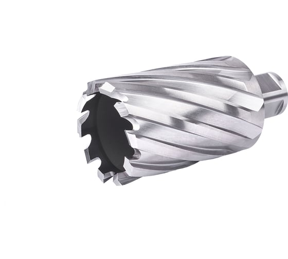 Изображение товара Фреза кольцевая №33 (39х55/88 мм; WELDON19; HSS M2) Профоснастка 40101033