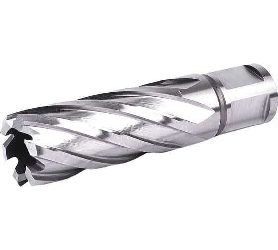 Изображение товара Фреза кольцевая №13 (20х55/88 мм; WELDON19; HSS M2) Профоснастка 40101013