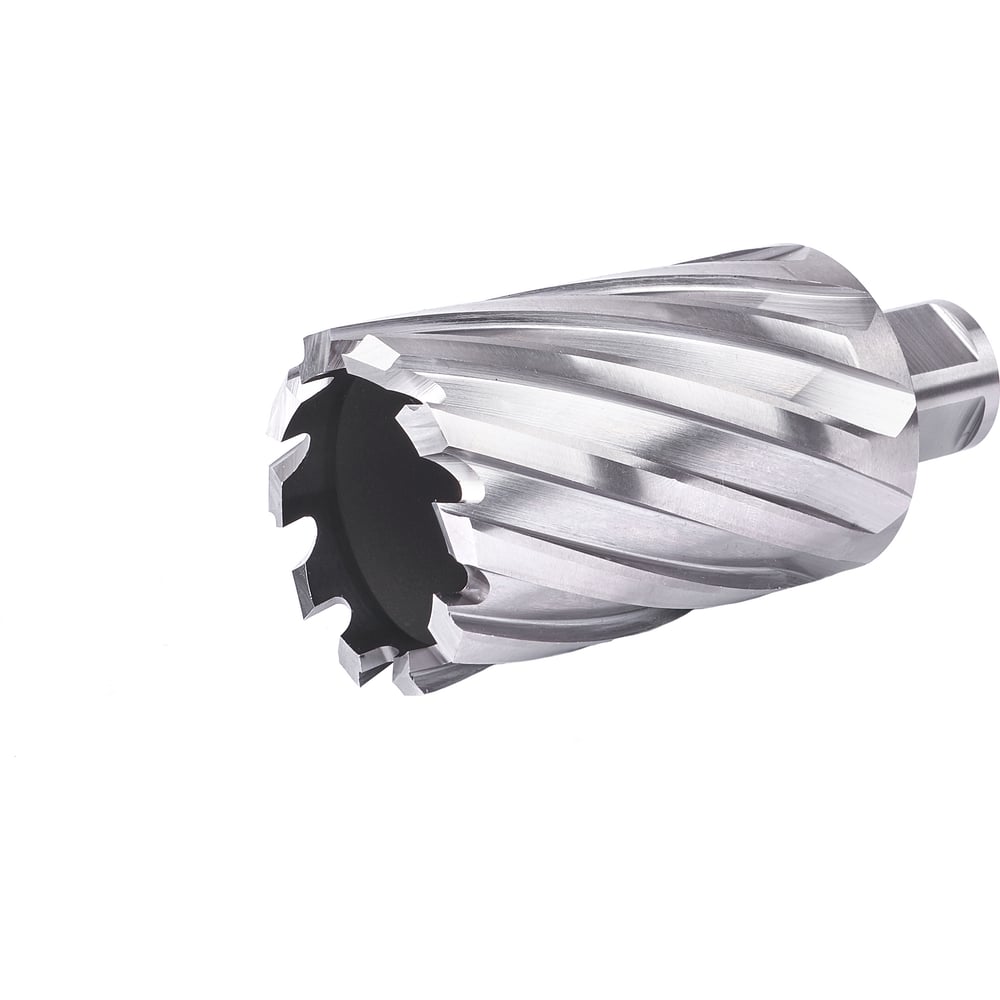 Изображение товара Фреза кольцевая №36 42х55 мм Weldon 19 HSS M2 Профоснастка