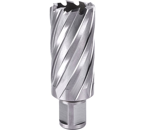 Изображение товара Фреза кольцевая №25 (31х55/88 мм; WELDON19; HSS M2) Профоснастка 40101025