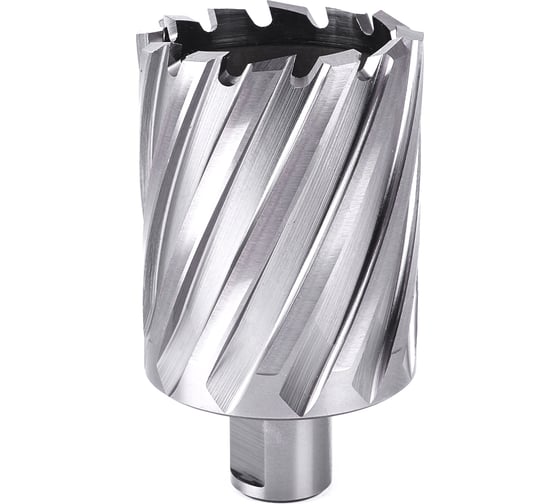 Изображение товара Фреза кольцевая №54 (60х55/88 мм; WELDON19; HSS M2) Профоснастка 40101054