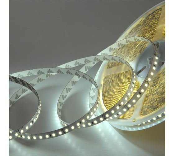 Изображение товара Лента светодиодная General Lighting Systems GLS-2835-120-9.6-24-IP20-ST-PRM-6, 20 метров, 9,6Вт/м, 24В, SMD2835, 10мм, 120 диодов/м, 16 Лм/м, IP20, 6500К - холодный белый 502152