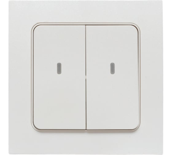 Изображение товара Умный беспроводной выключатель EKF Стокгольм 2-клавишный, белый, Zigbee Сonnect RCV-ST2-WS-ZB