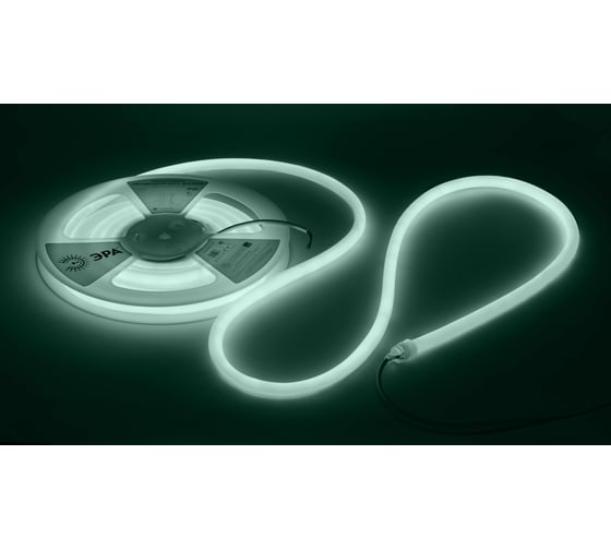 Изображение товара Лента светодиодная термостойкая для бани ЭРА LS28359,6120246500KIP683 year5m (холодный бел.) Б0062329