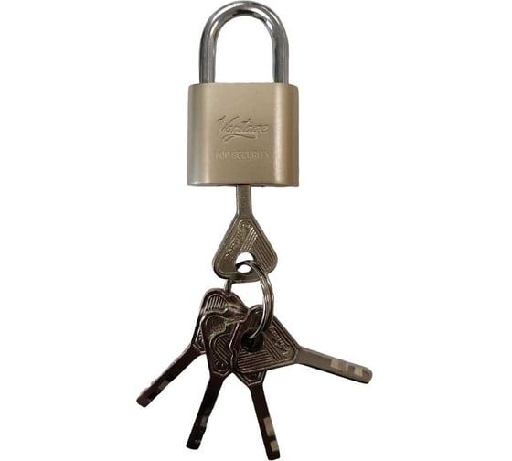 Изображение товара Замок навесной Вантаж 5 ключей LD2-30