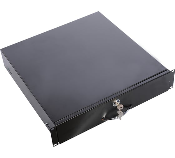 Изображение товара Выдвижная полка для документации ЦМО для шкафов, с телескопическими направляющими ТСВ-Д-2U.450-9005