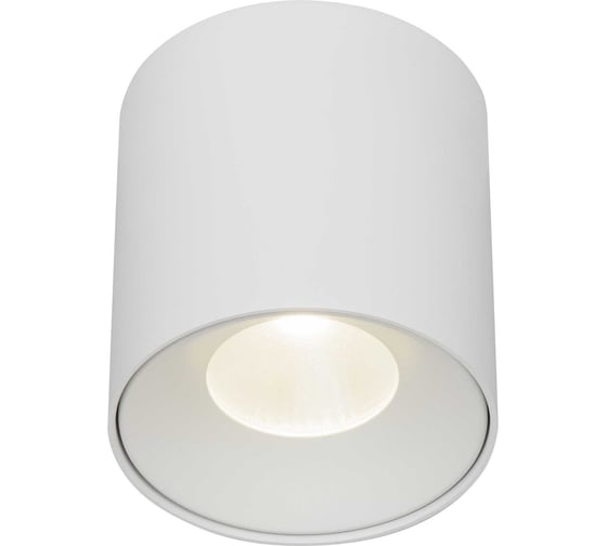 Изображение товара Накладной светильник - спот aax.tech Vila 20Вт, 4000K, 100x110мм AAX-Vila-100/20