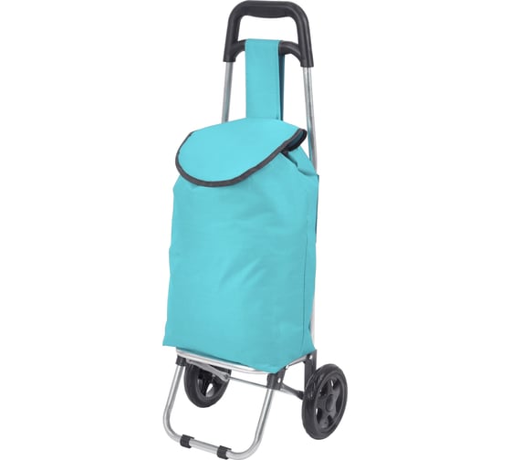 Изображение товара Тележка с сумкой Рыжий кот WR3030 Бирюза 15 кг 0 93590