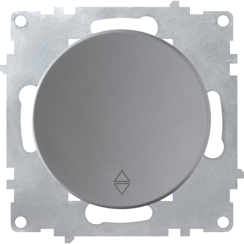 Одинарный переключатель OneKeyElectro 2172844