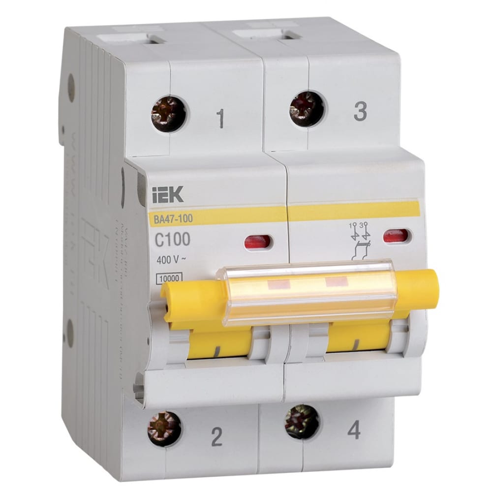 Автоматический выключатель IEK - MVA40-2-100-C