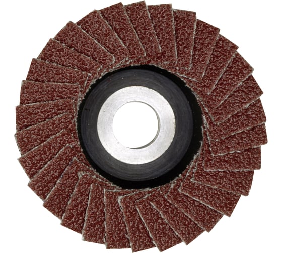 Изображение товара Диск ламельный шлифовальный (50 мм; 100) для LHW Proxxon PR- 28590