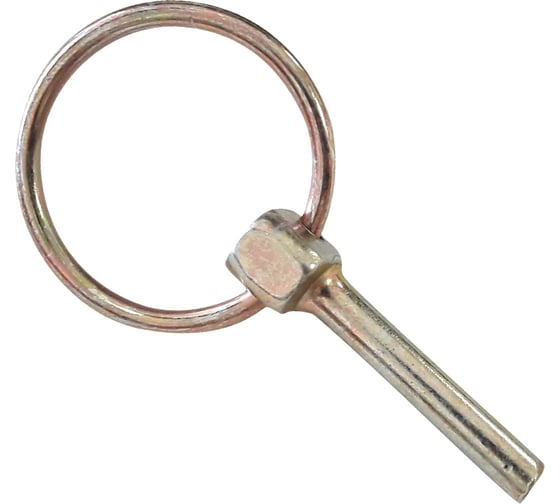 Изображение товара Быстросъемный шплинт-штифт с кольцом ЕВРОПАРТНЕР DIN11023 D6 Zn 2шт. 12 0389 1