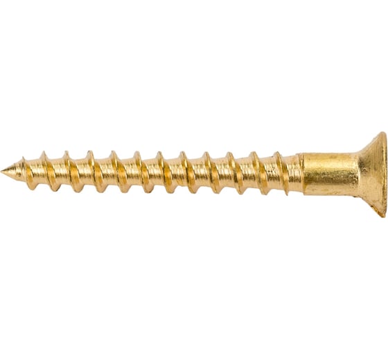 Изображение товара Шуруп с потайной головкой ЕВРОПАРТНЕР DIN 7997 лат. 3х25 21 шт. 15 2483 1