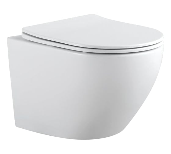 Изображение товара Подвесной унитаз Aquanet Cetus 2.0 W с сидением, с Rimless 00243541