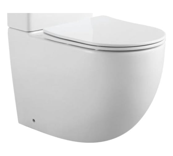 Изображение товара Чаша для напольного унитаза Aquanet Cetus 2.0 C1 с сидением, с Rimless 00243538