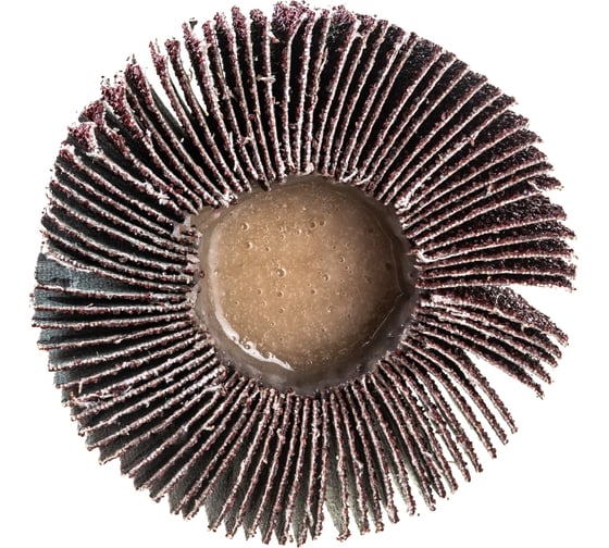 Изображение товара Круг лепестковый радиальный (80х30х6 мм; Р80) ТУНДРА 1875470