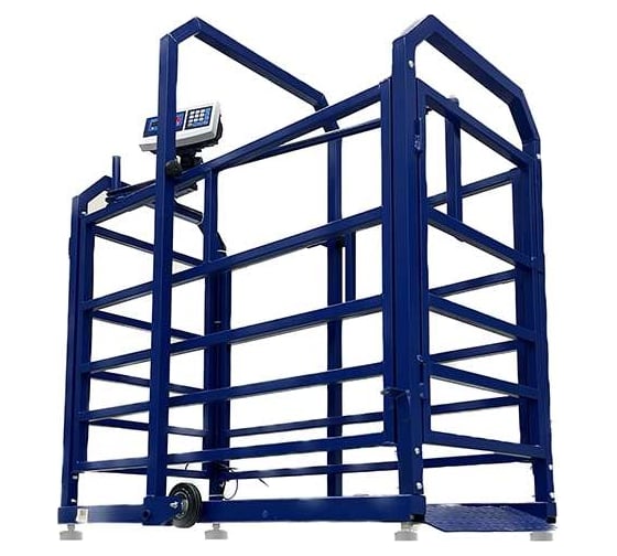 Изображение товара Весы Middle МП 600 ВЕДА Ф-1 100/200, 1500х800 Живой вес М 12 1141000168