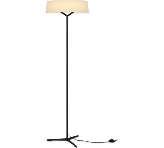 Изображение товара Напольный светильник (торшер) Freya Vabi Черный Металл FR6132FL-L15B