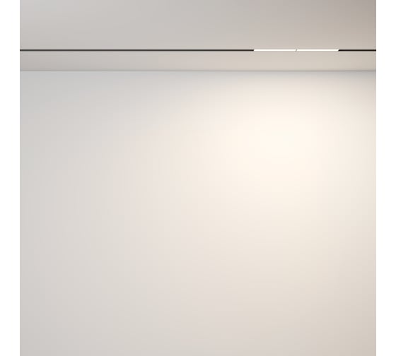 Изображение товара Трековый светильник MAYTONI Parete LED 12W Алюминий Черный TR106-2-12W4K-B