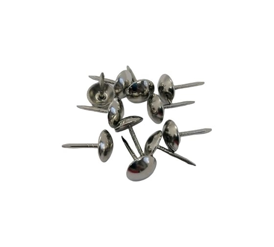 Изображение товара Гвозди декоративные Доброга усиленные 1,2x20 хром 100 шт. ЦБ-00022055