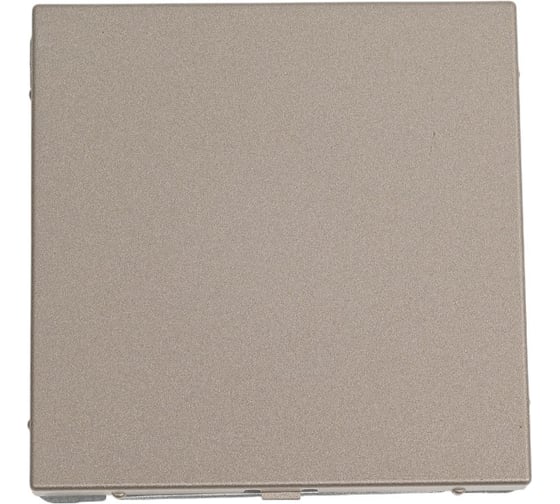 Изображение товара Заглушка Systeme Electric ArtGallery Шампань без суппорта для многопостовых рамок GAL000509