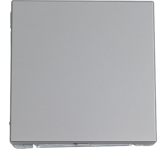 Изображение товара Заглушка Systeme Electric ArtGallery Сталь без суппорта для многопостовых рамок GAL000909