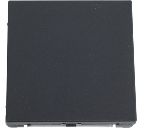 Изображение товара Заглушка Systeme Electric ArtGallery Базальт без суппорта для многопостовых рамок GAL001409