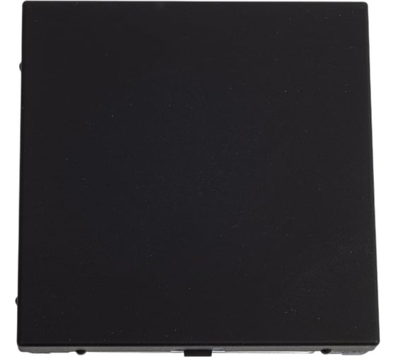 Изображение товара Заглушка Systeme Electric ArtGallery Карбон без суппорта для многопостовых рамок GAL001009