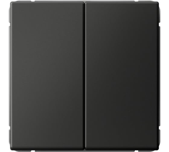 Изображение товара Переключатель Systeme Electric ArtGallery Базальт 2-клавишный, сх.6/2, 10АХ, механизм GAL001465