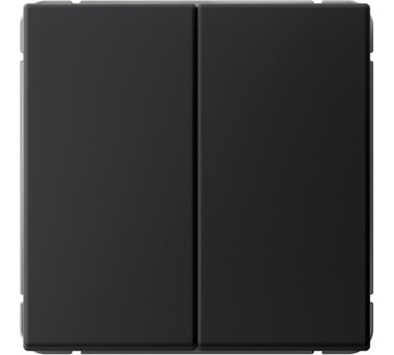 Изображение товара Механизм 2-клавишного выключателя Systeme Electric ArtGallery Карбон кнопочный, сх.2, 10А GAL001017